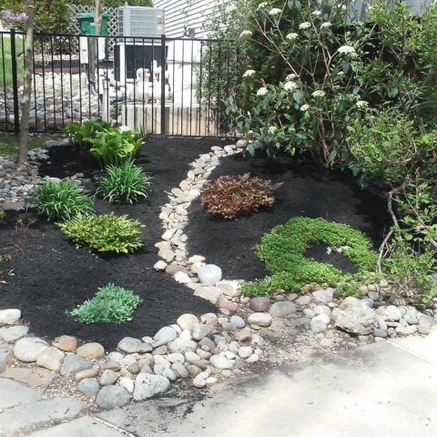 mulch bed